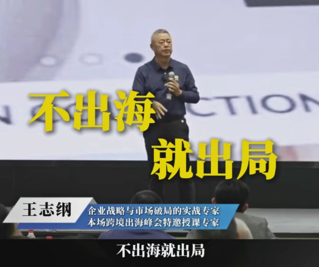 关税降了,但博弈逻辑变了!2025年跨境出海峰会:把我们耽误的时间弥补回来?
